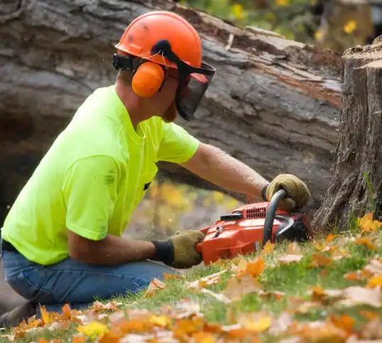 tree services Adairville